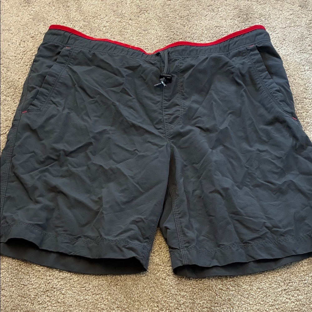 The North Face Red and Gray Men's Shorts